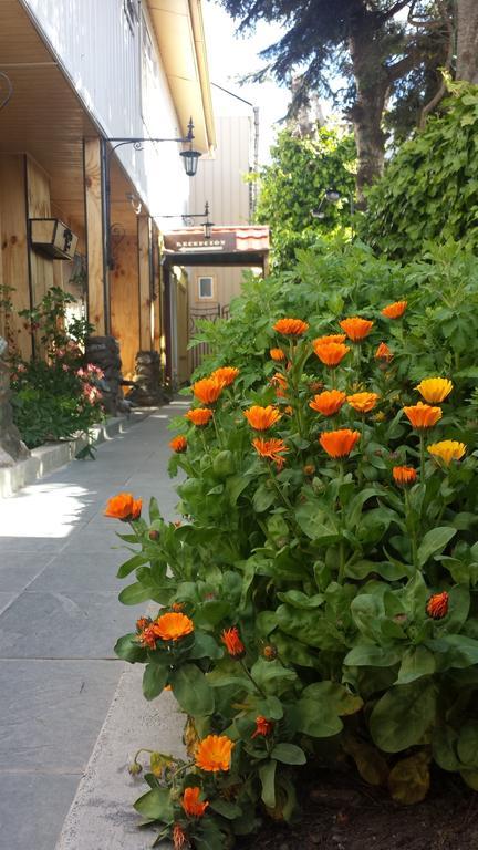 Hostal Parediso Punta Arenas Bagian luar foto